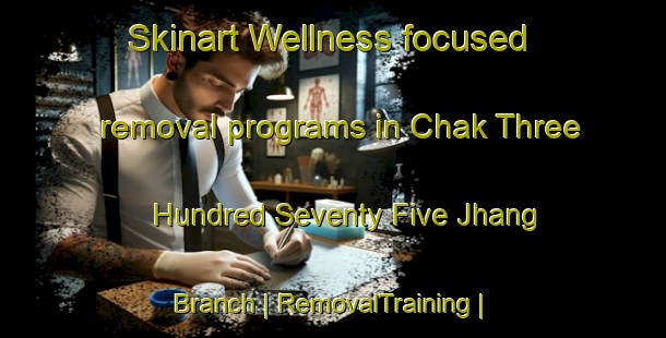 Skinart Wellness-focused removal programs in Chak Three Hundred Seventy Five Jhang Branch | RemovalTraining | RemovalClasses | SkinartTraining-Pakistan